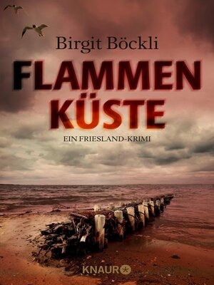 cover image of Flammenküste